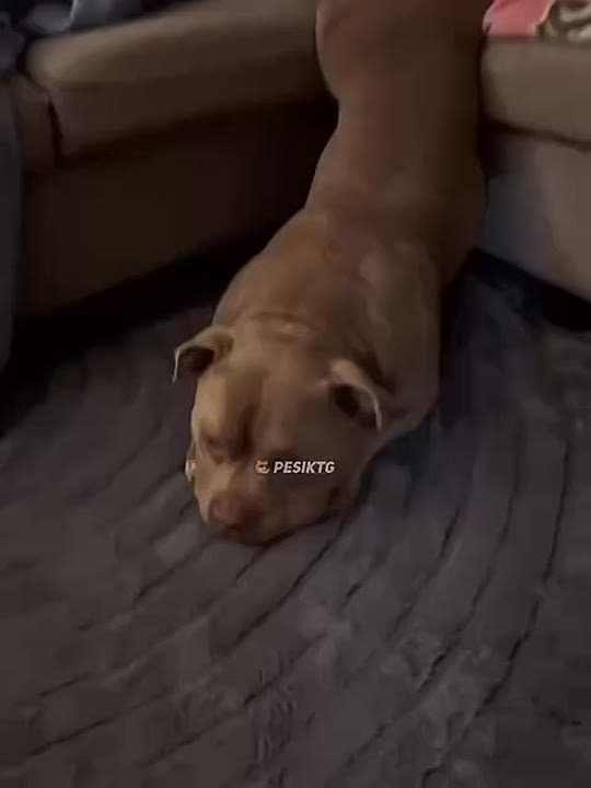 Когда пришел понедельник, но одной ногой ты еще в воскресенье