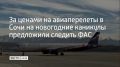 Члены Общественной палаты РФ предлагают законодательно ограничить цены на авиабилеты в праздничные дни