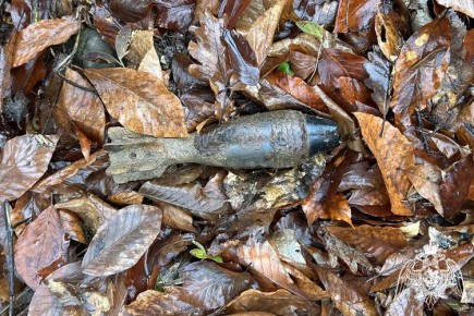 Взрывотехники Росгвардии уничтожили мину, обнаруженную в Горячем Ключе