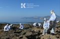 Свыше 90% разлившегося мазута собрано в Керченском проливе