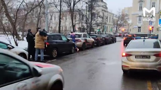 Откровение человека-паука возле Верховного суда, где идет слушание по делу Ларисы Долиной