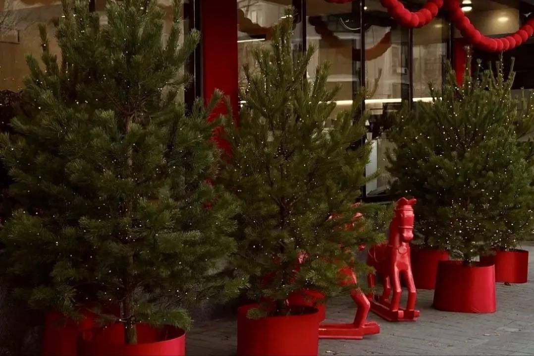 Андрей Кравченко: Новороссийск погружается в предновогоднюю сказку: в городе стартовал конкурс на самое оригинальное праздничное оформление, организованный для жителей