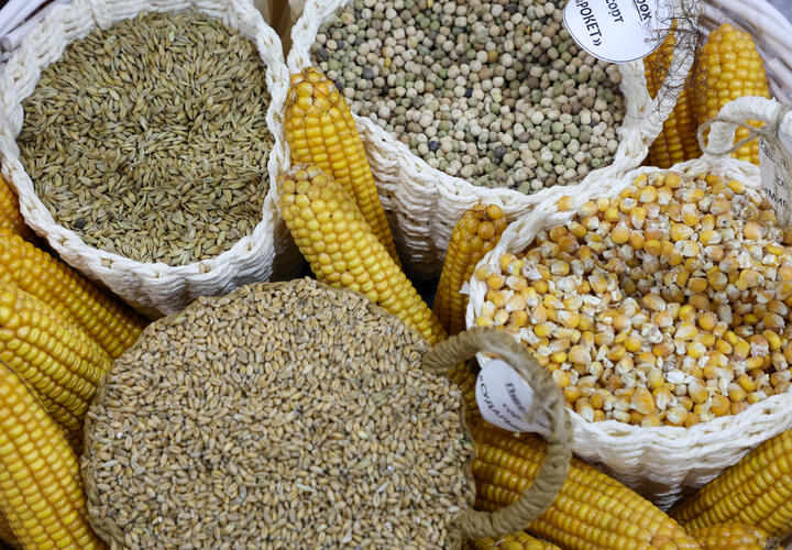 Заведующая лабораторией в Краснодарском крае провернула целую схему для перевода денег инспектору Россельхознадзора