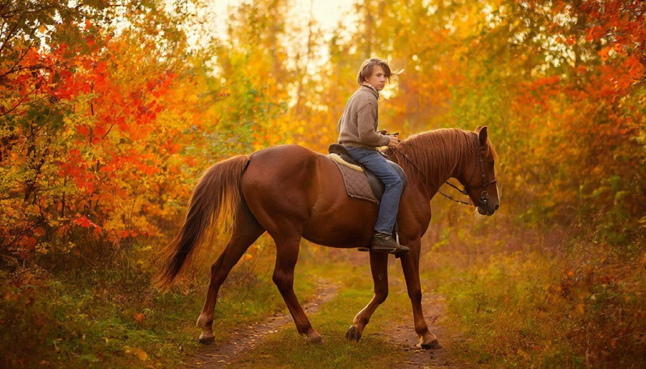 На Кубани ковбой школьник решил угнать дорогущего коня, стоимостью в 370к, просто чтобы прокатиться