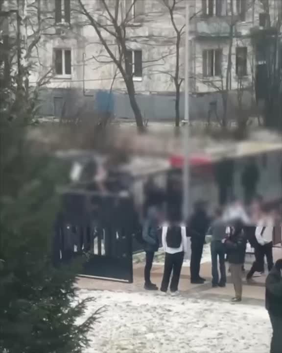 В одной из школ произошла кровавая трагедия