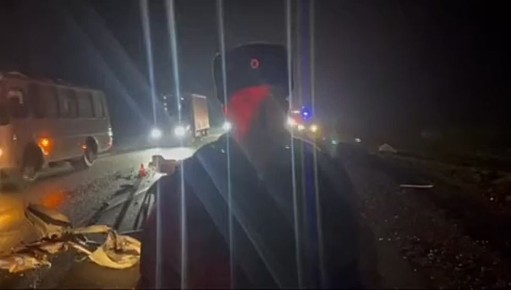 «Нива» разлетелась вдребезги после столкновения с грузовиком в Тихорецком районе — водитель погиб