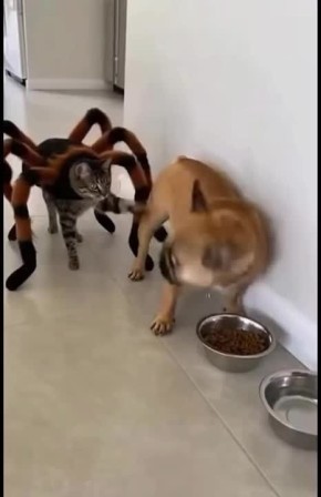 Вторник подкрался незаметно