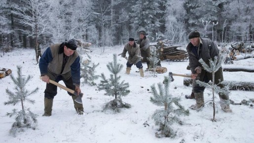 "Новогодние" рейды проходят по лесам Кубани