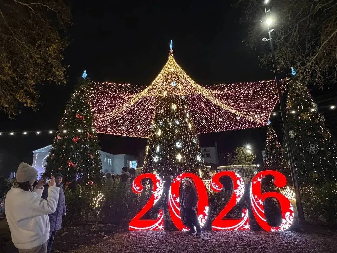 Чемпионат по елкам от «Кубань 24» — объявляем открытым!