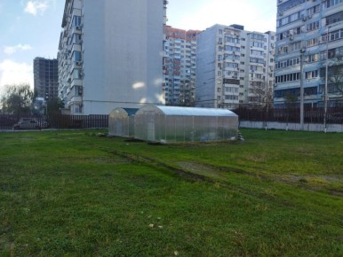 Школьные теплицы Новороссийска: новый этап в экологическом образовании