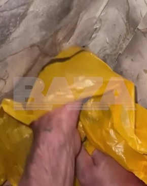 Пригрела змею: на Кубани гадюка целый год жила в доме, сводя хозяйку с ума