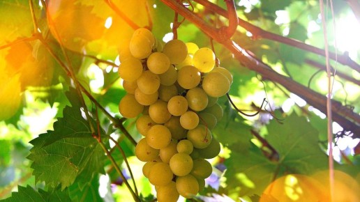 ��������������� ���� ������� �����, ������� ��������� �� ���������� �������� �������������� ������� � ������