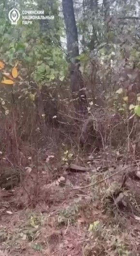 �������� ������������ ��������� ������ ���� � �������� ������