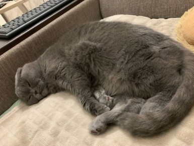 Доброе утро, Кубань!. Краснодар +10 °С