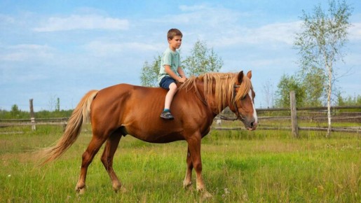 ��� ������ �������� �������� ����� � ������������� ��������