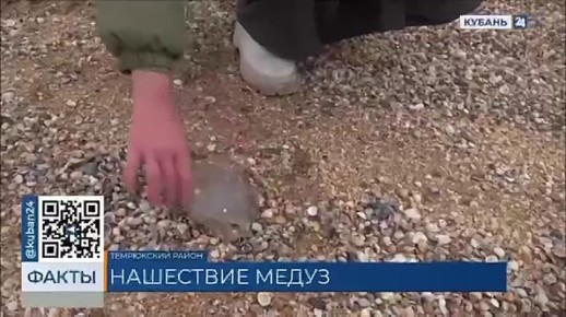 ������ ������� ��������� ��������� ����