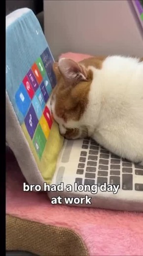 У админа упадок сил... пятница