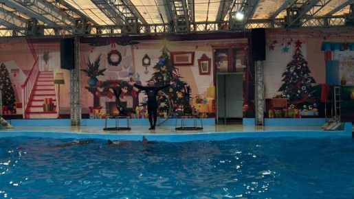 ��� ����� ���������� ��� � ����� ������������ ��������� ������������� � �����������