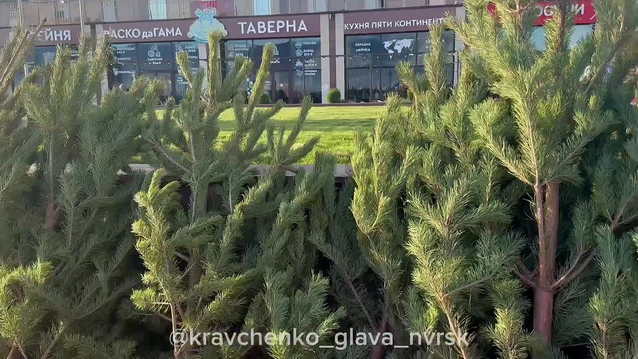 Андрей Кравченко: Новороссийск превратился в настоящую зимнюю сказку