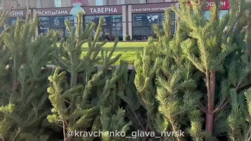 В Новороссийске состоялся предновогодний забег Дедов Морозов