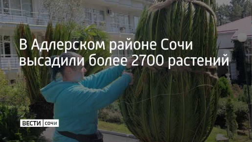 �� 2025 ��� � ��������� ������ ���� �������� 2719 ����� ��������, ���������� � ��������� �������������