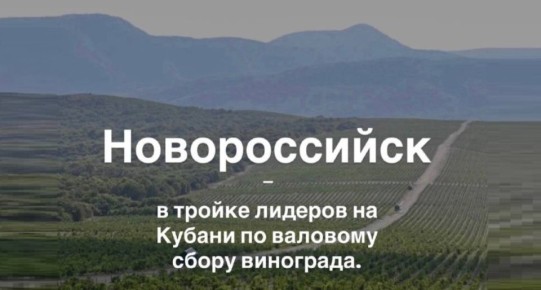 ������������ ������ � ������ ������� ������ �� �������� ����� ��������� � ������������ �������������� ���������, ���������� ������� ������ ����������� ��������