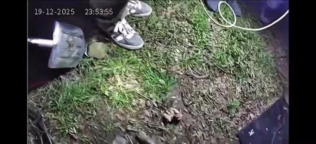 ����� ����� � �������� ����� � ������� � �� ������ ������ �������������� ���������