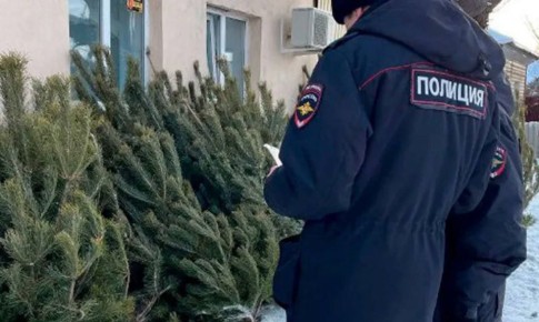 ����� �� ����� �������� � ������� �����