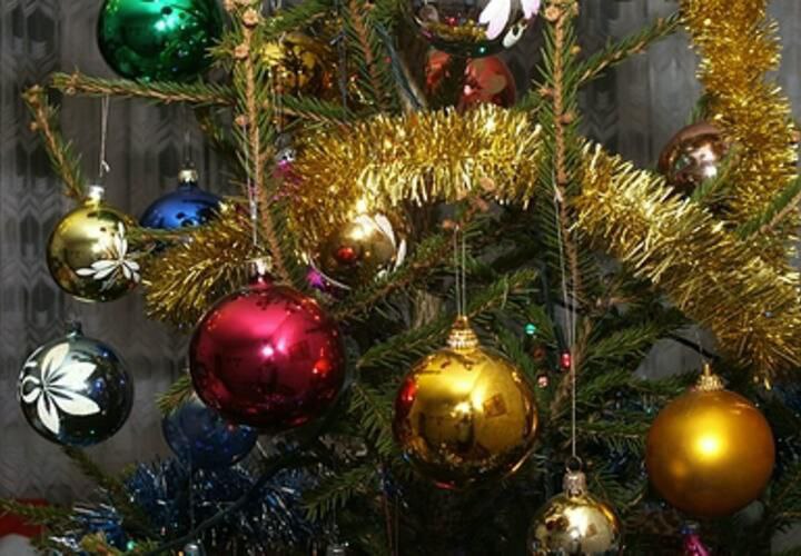 Обычные новогодние елки несут в себе страшную угрозу