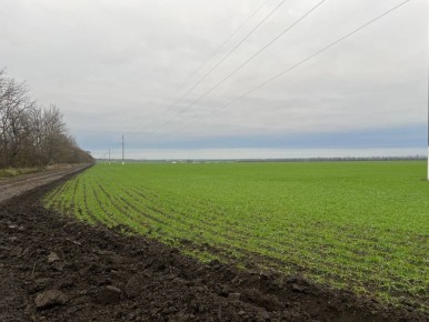 ��������� ������ �� ������ ����������� ������� ��� �������