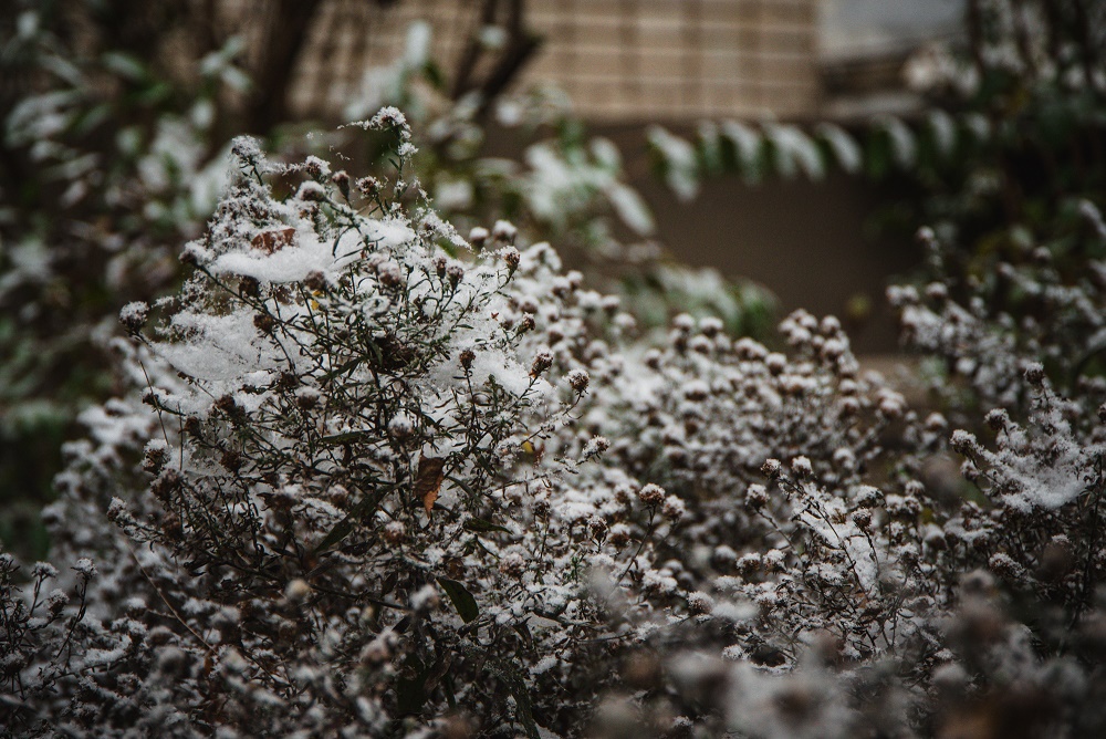 Погода набирает минусы на Кубани