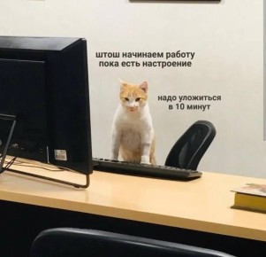 Против шестидневной рабочей недели выступили в Госдуме