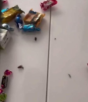 � ����� ����� ����� � ���������� � ������� ������� ����� � ������ � ��