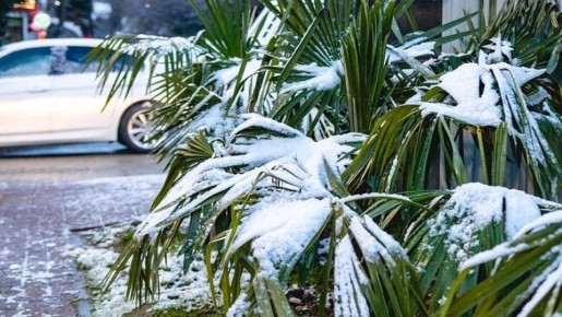 ��������� �������� ��� ���������� ����������� ��� ������ � ����� ���