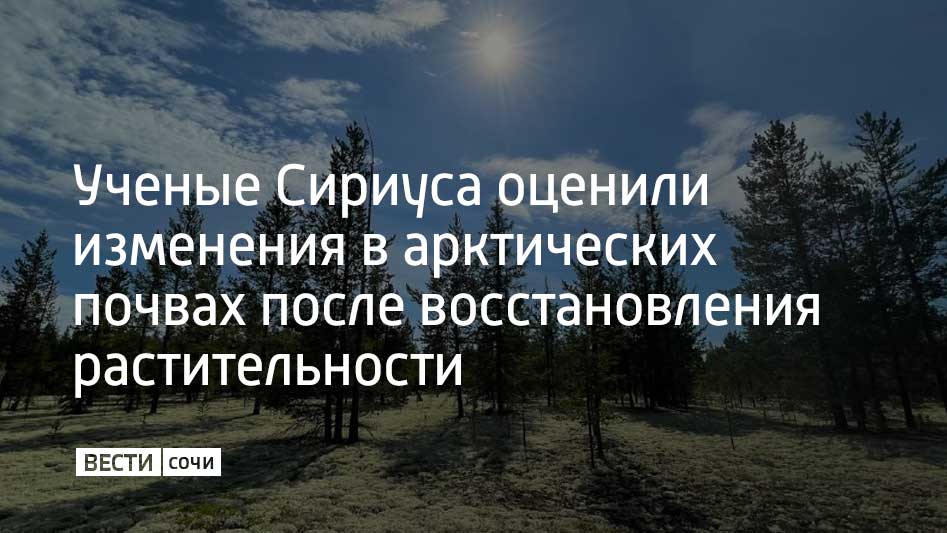 Ученые выяснили, что развитие растительности на арктических песчаных дюнах приводит к накоплению органического углерода, а также к росту микробной активности, тем самым ускоряя круговорот углерода между почвой и атмосферой