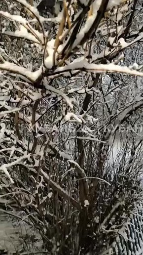 �������� ��� ���� ����� � �������������