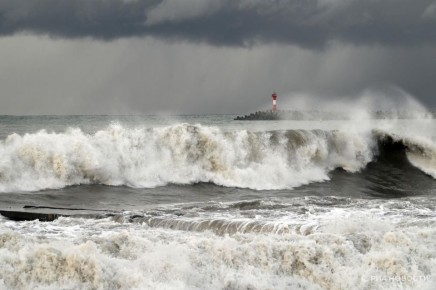 � ���� � ������� ������� ����� �� ����� ������