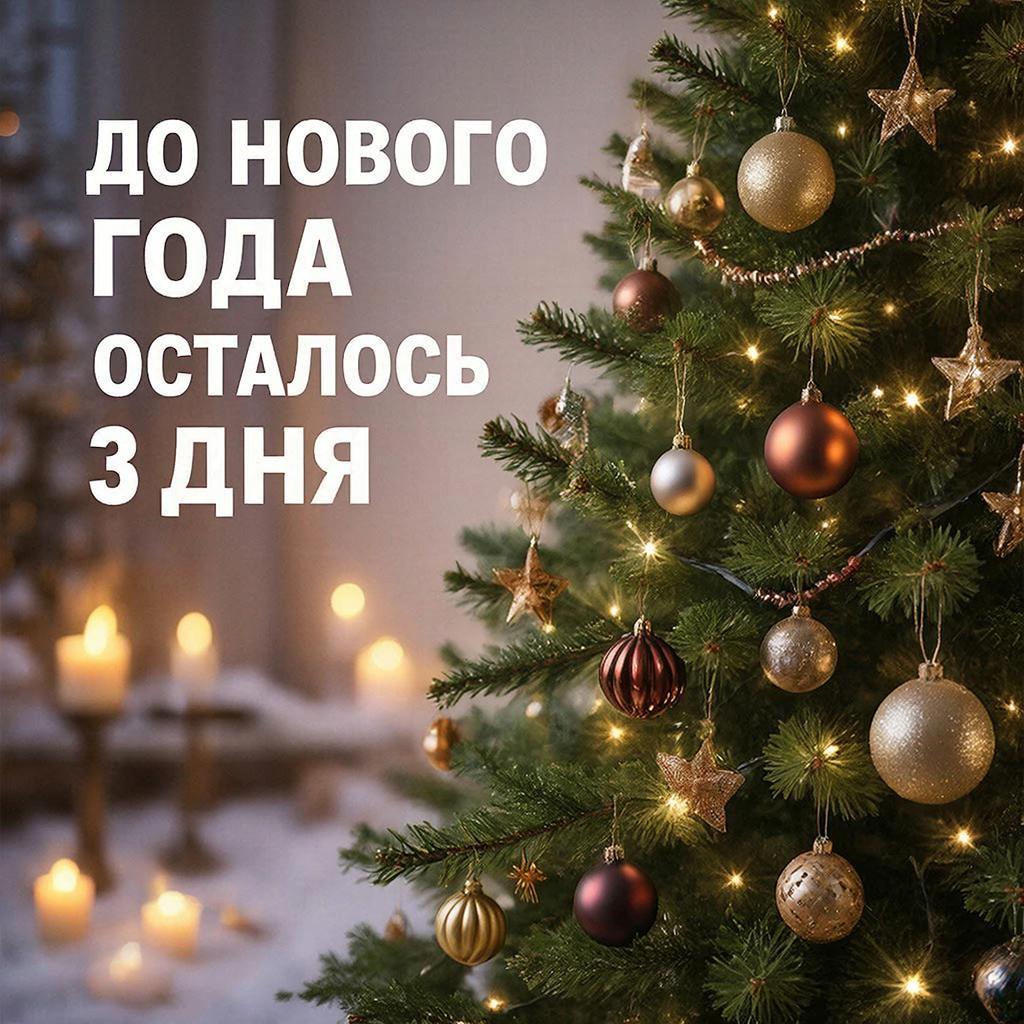 До Нового года осталось 3 дня!