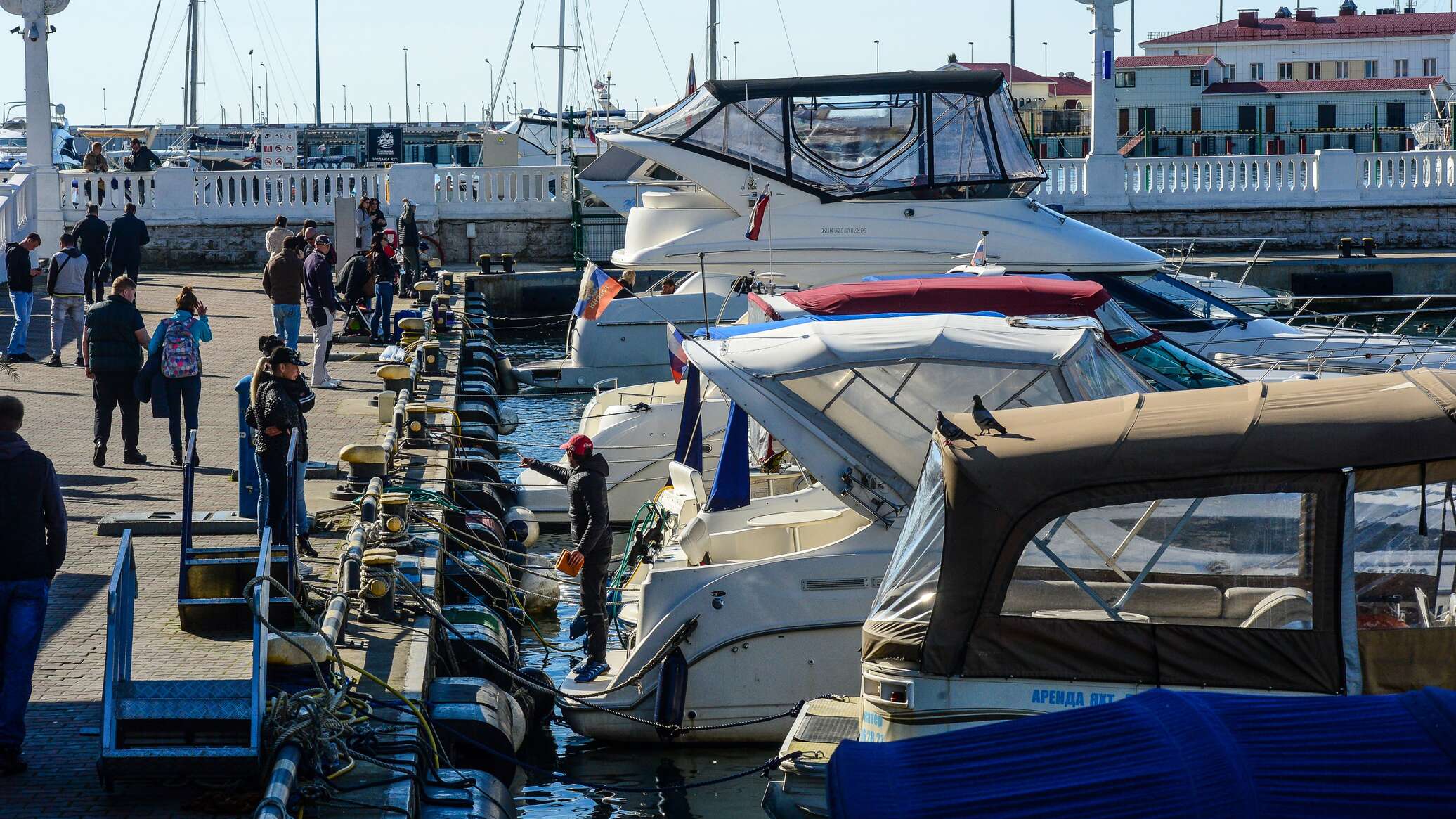 Стрельба в Сочи – власти назвали причину