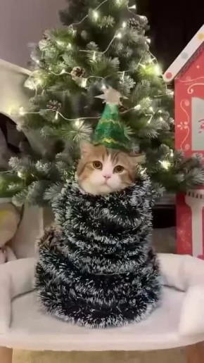 К праздникам готов