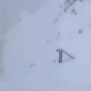 �� ������� ������� ������� � ����� ����