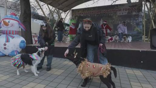 ������� �������� ���� ���-��������� ��� ������� ��������