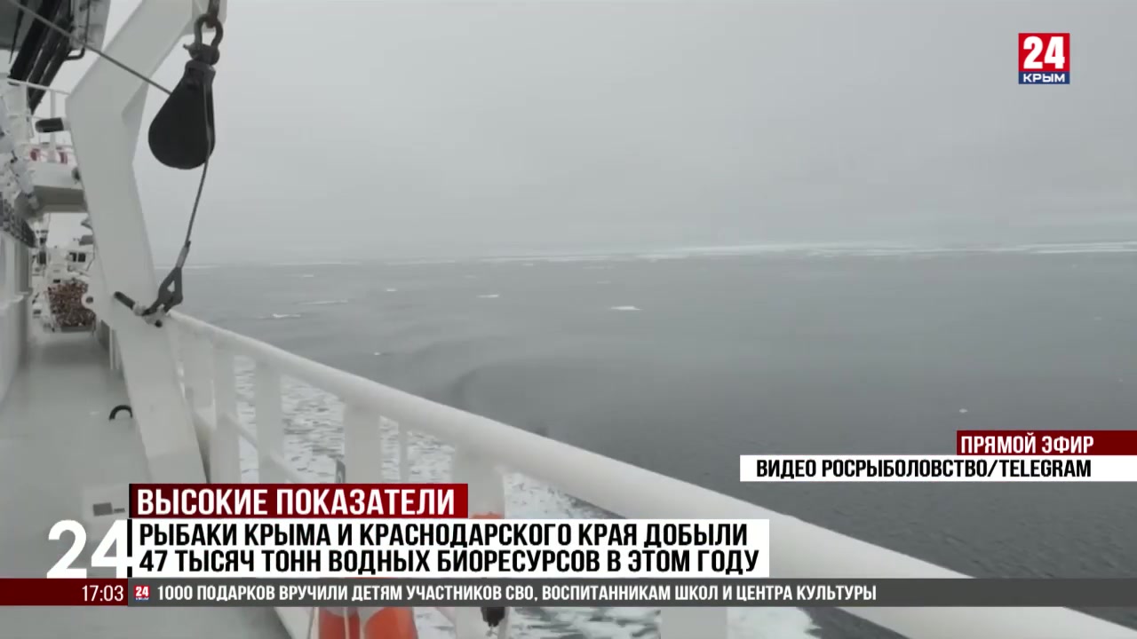 Рыбаки Крыма и Краснодарского края добыли 47 тысяч тонн водных биоресурсов в этом году