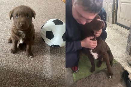 ������ ���: ������ ������������� ����� ������ ��� ������ 4 ������ � ��� ��� �� ������ �� �����, ����� �� �������