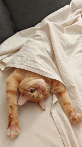 ������ ����, ������!. ��������� +3��