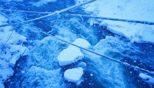 ������� �������� ��������� ��������� ���� �� ������