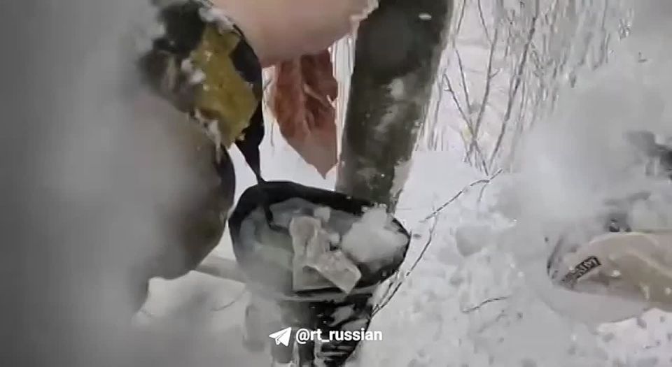 ������. �����. ���� �� ����� ��� ������