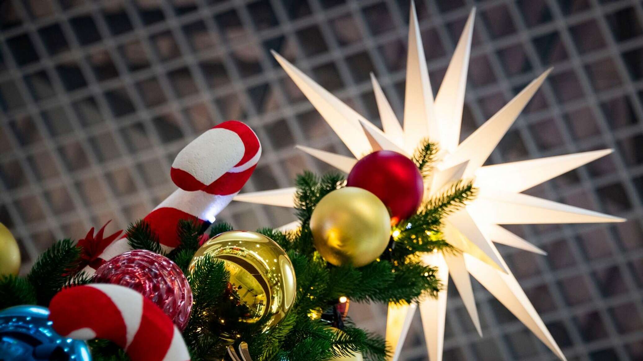 Артисты, художники, герои – кто родился в Новый год