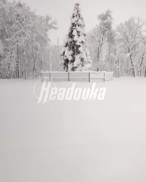 Более 40 тыс человек остаются без света в Краснодарском крае после обильных снегопадов