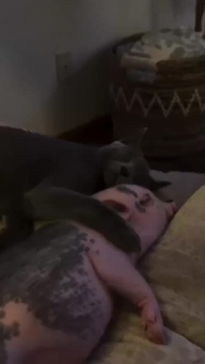 �� ���, ������ ���� 2026-�� ������� � ����� ����� �����������?